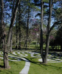 The Church of the Loving Shepherd (CLS) Labyrinth is available to all people as a non-denominational, cross-cultural tool for well-being. Please call 610-692-8280 to confirm dates and times of these guided walks, or for more information. 